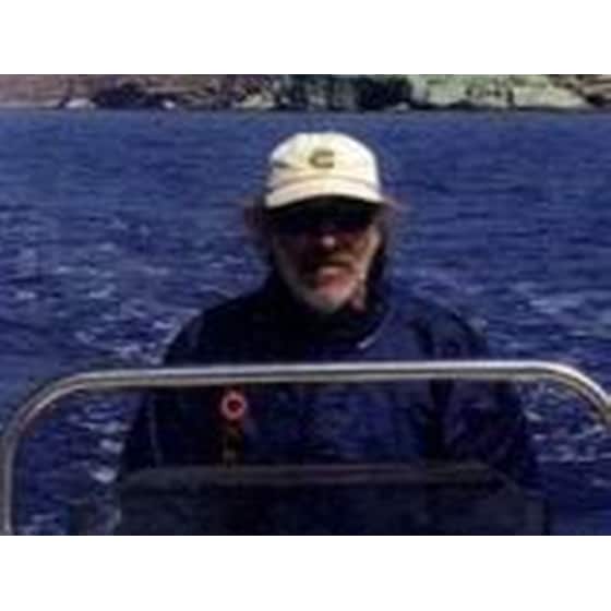 Dolphins and Whales of the Greek Seas image 1