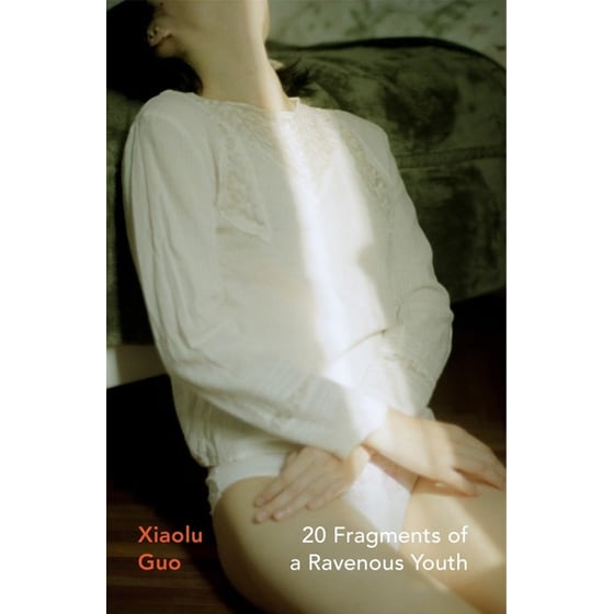 20 Fragments of a Ravenous Youth image 0