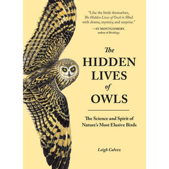 Hidden Lives of Owls image 0