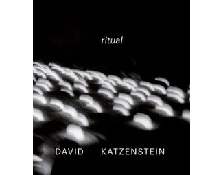 David Katzenstein image 0