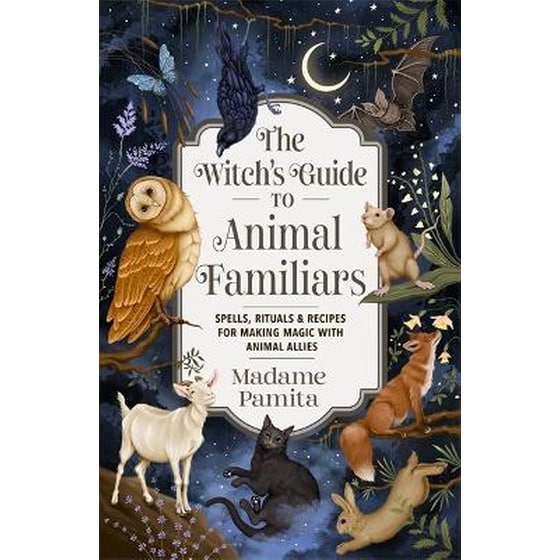 The Witch's Guide to Animal Familiars image 0