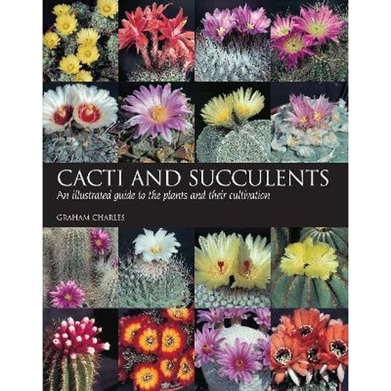 Cacti and Succulents image 0