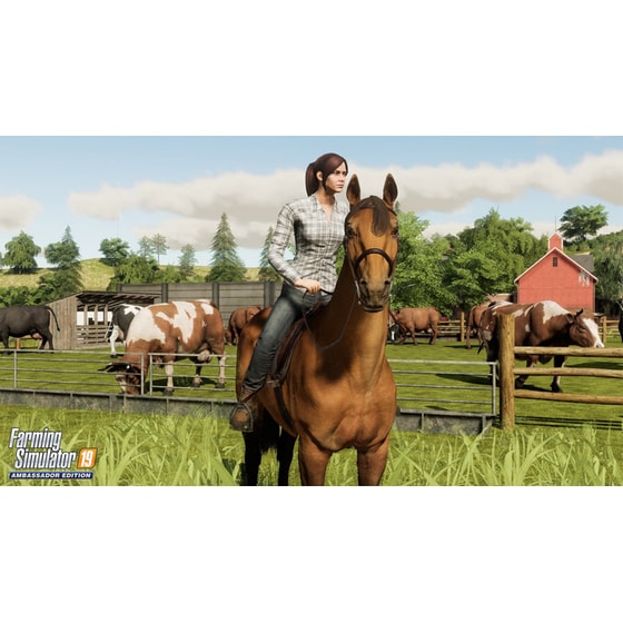 Farming Simulator 19 Ambassador Edition - PC image 4