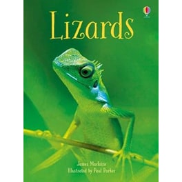 Lizards