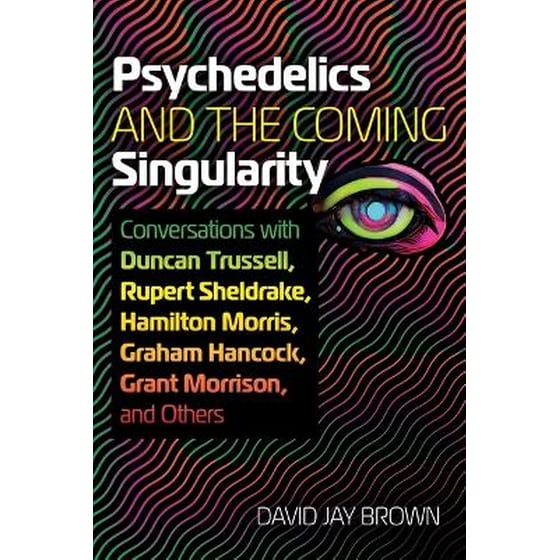 Psychedelics and the Coming Singularity image 0