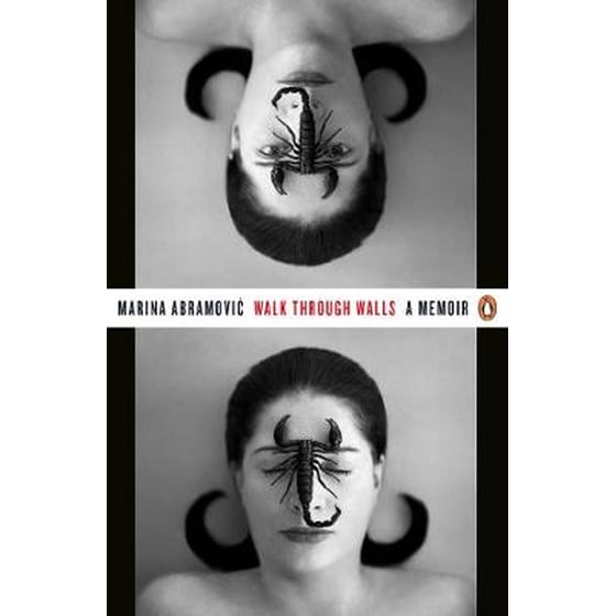 Walk Through Walls image 0