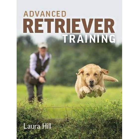 Advanced Retriever Training image 0