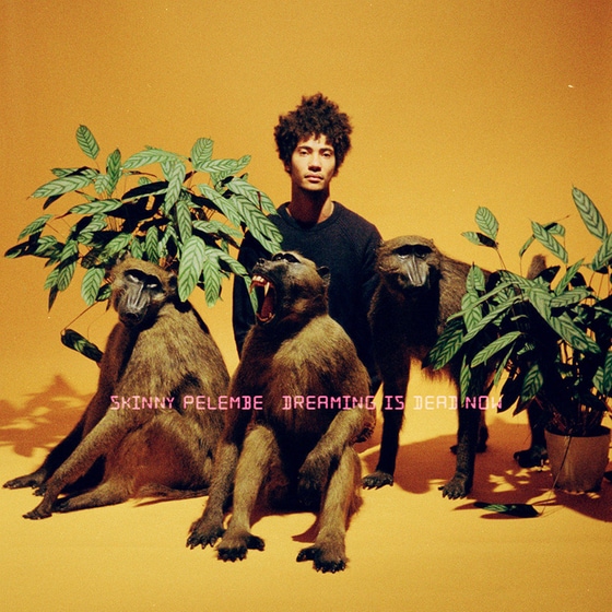 Dreaming Is Dead Now image 0