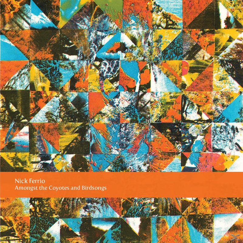 Amongst The Coyotes And Birdsongs