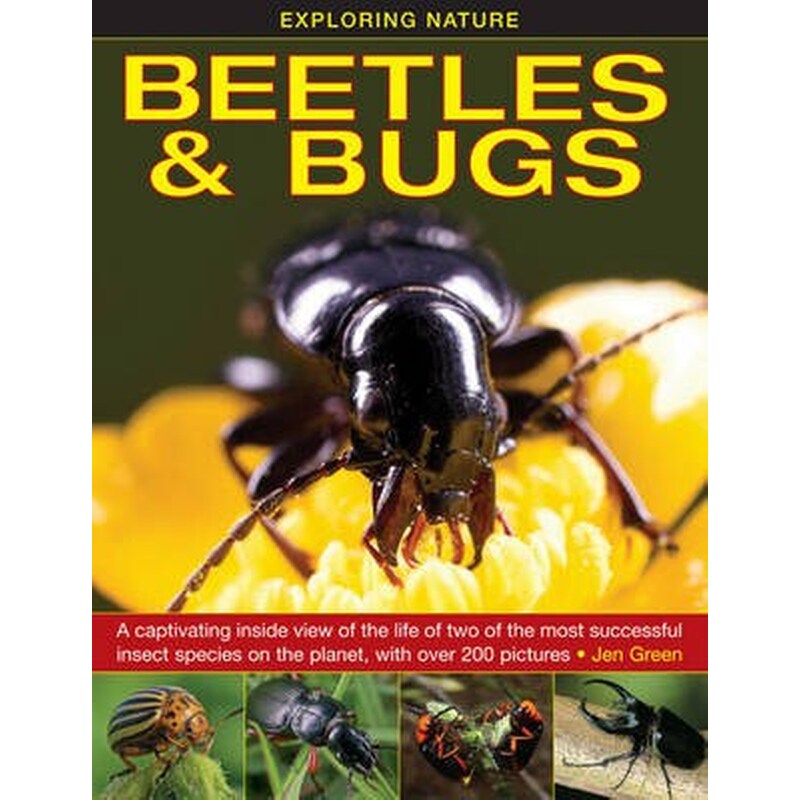 Exploring Nature- Beetles Bugs