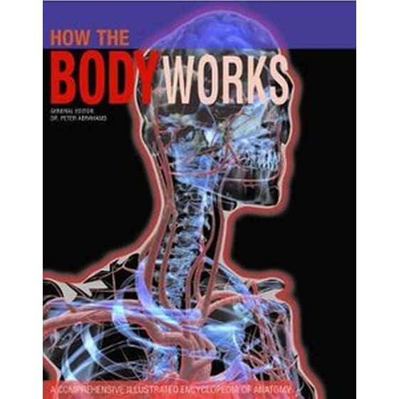How the Body Works image 0