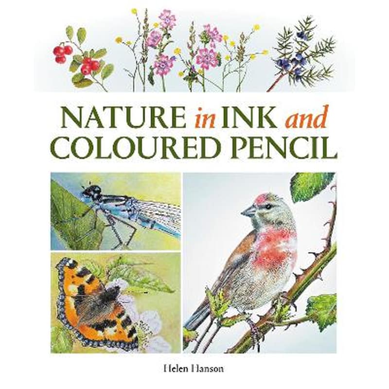 Nature in Ink and Coloured Pencil