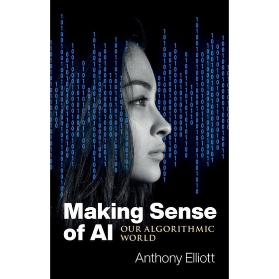 Making Sense of AI image 0