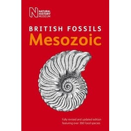 British Mesozoic Fossils