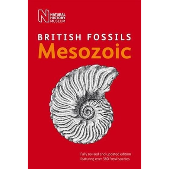 British Mesozoic Fossils image 0
