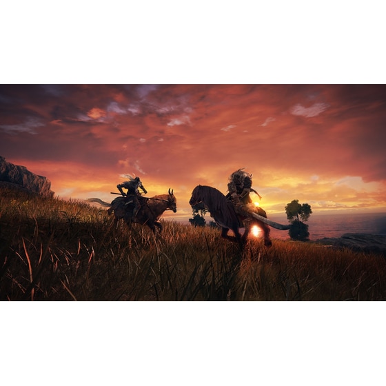 Elden Ring - PS5 image 22