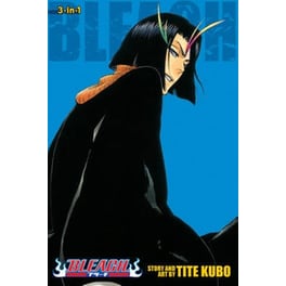 Bleach (3-in-1 Edition), Vol. 13