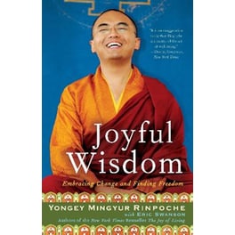 Joyful Wisdom