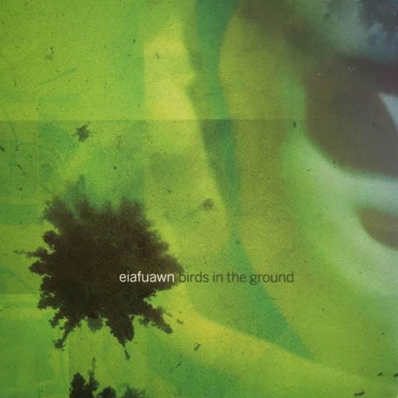 Birds In The Ground (Indies Only) image 1