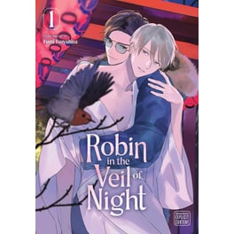 Robin in the Veil of Night, Vol. 1