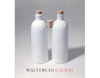 WALTERCIO CALDAS image 0
