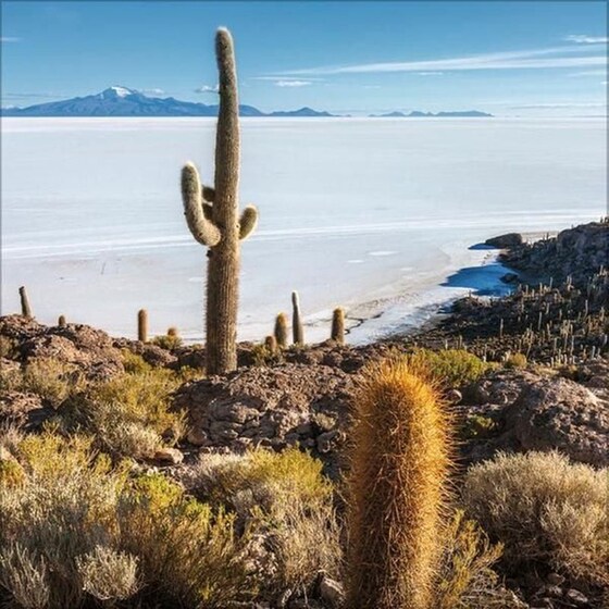 Ημερολόγιο Τοίχου 2025 Wunder der Welt image 11