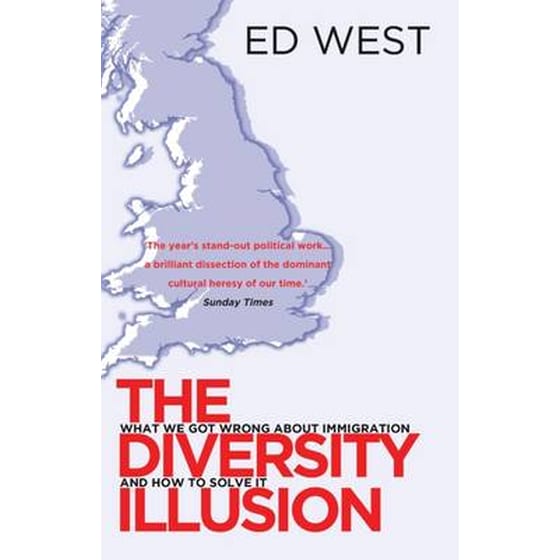 The Diversity Illusion image 0