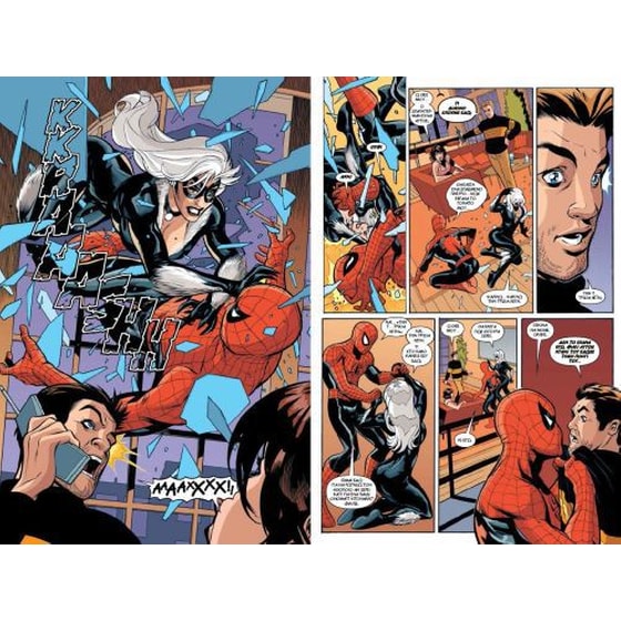 Spider-Man and the Black Cat- To κακό που κάνουν οι άνθρωποι image 2