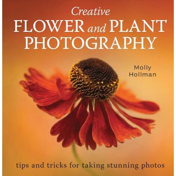 Creative Flower and Plant Photography image 0