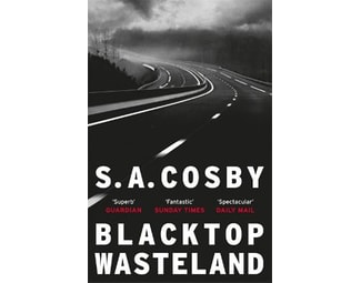 Blacktop Wasteland image 0