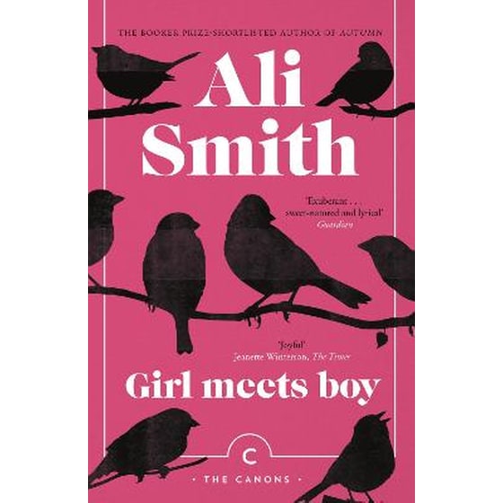 Girl Meets Boy image 0