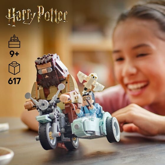 LEGO® Harry Potter Hagrid™ & Harry's Motorcycle Ride (76443) image 3