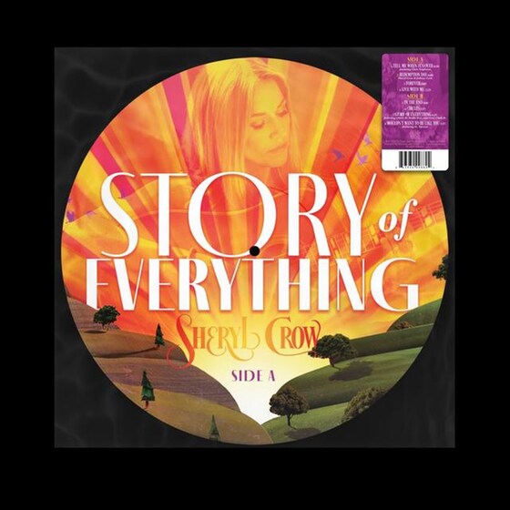 Story Of Everthing (Picture Vinyl) image 3