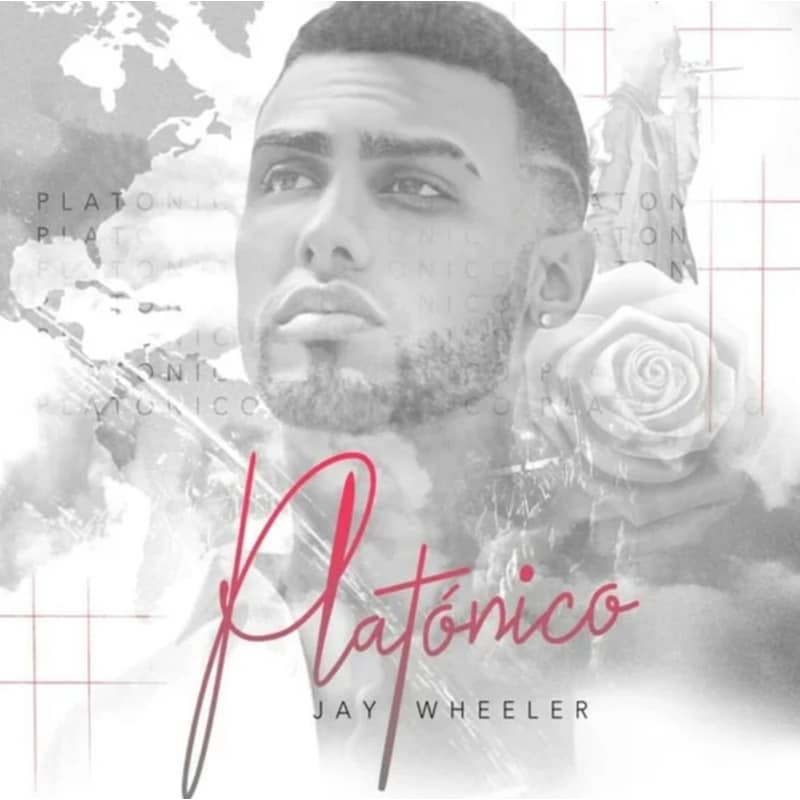 Platonico