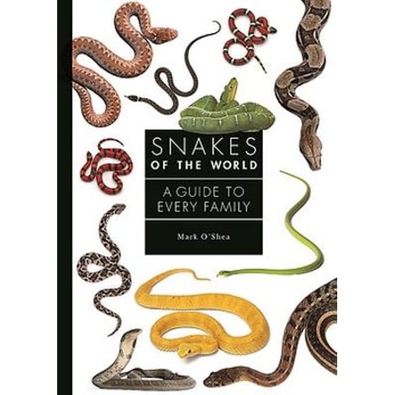 Snakes of the World image 0