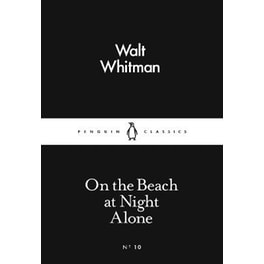 On the Beach at Night Alone