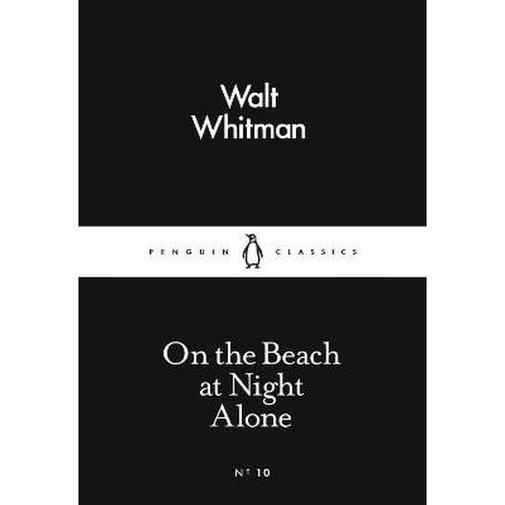 On the Beach at Night Alone image 0