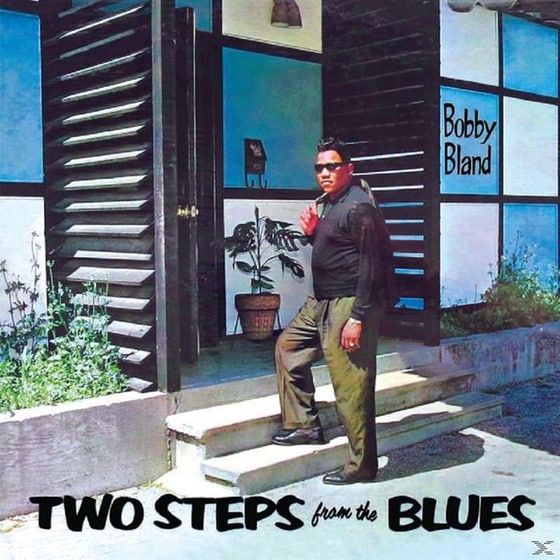 2 Steps From The Blues image 1