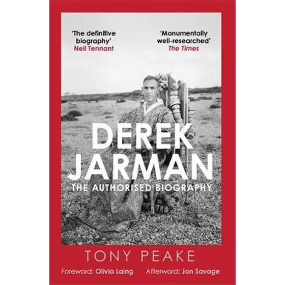 Derek Jarman: The Authorised Biography image 0