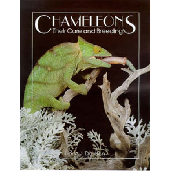 Chameleons image 0