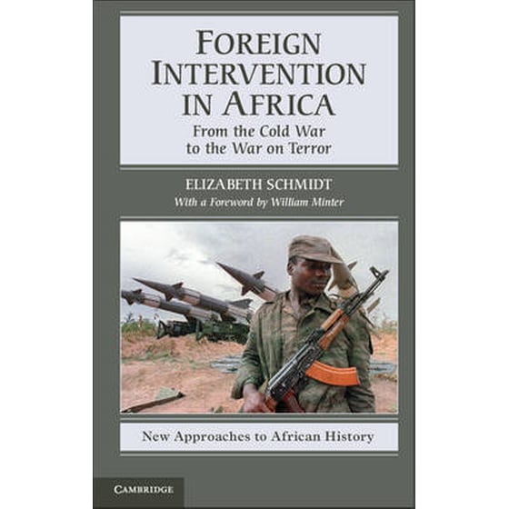 Foreign Intervention in Africa image 0