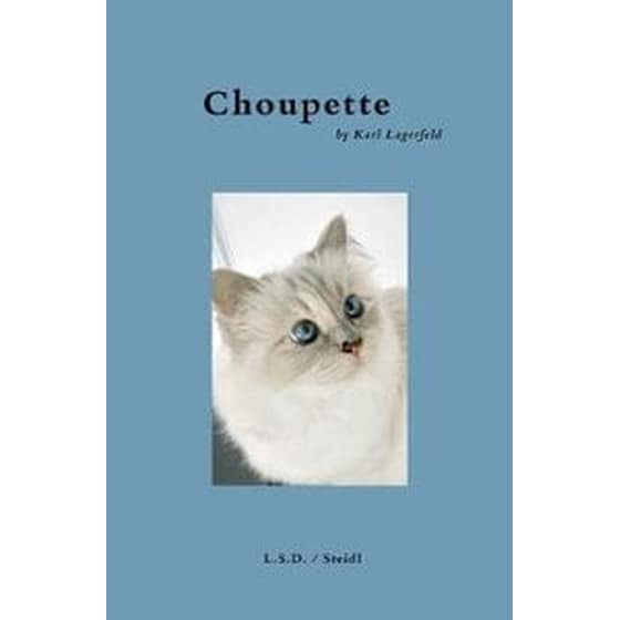 Choupette image 0
