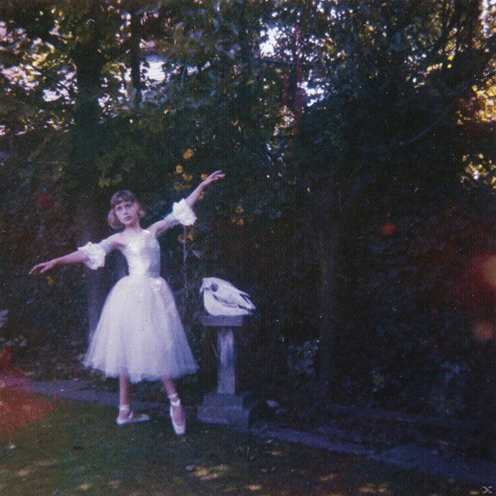 Visions Of A Life (CD) image 0