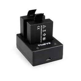 Dual Battery Charger Thieye