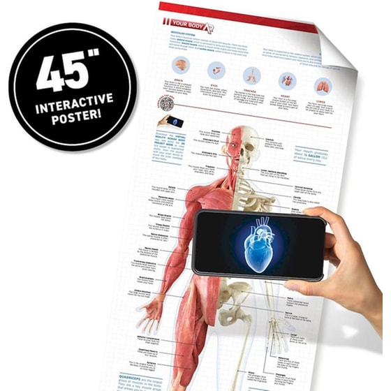 Giftbox Human Body Vr Επιστημονικό Σετ Εικονικής Πραγματικότητας (Abacus Brands) image 4