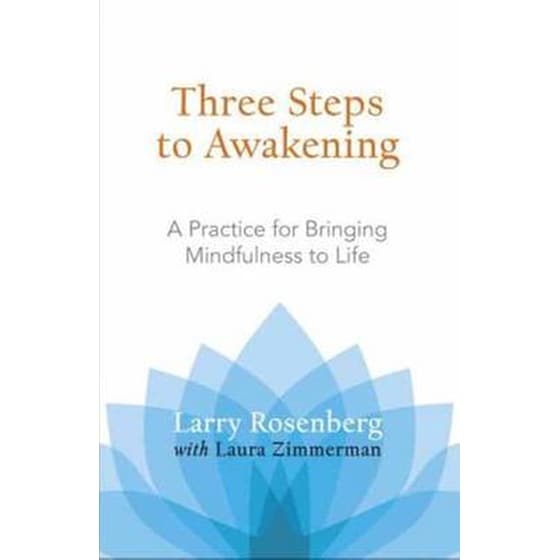 Three Steps To Awakening image 0