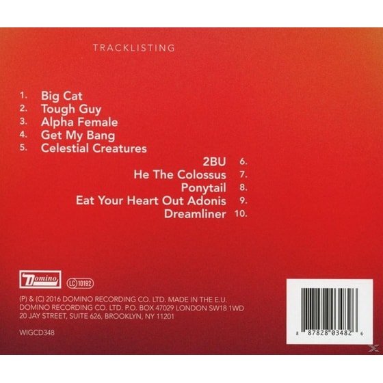 Boy King (Limited Edition) image 3