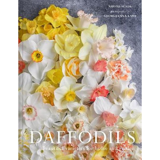 Daffodils image 0