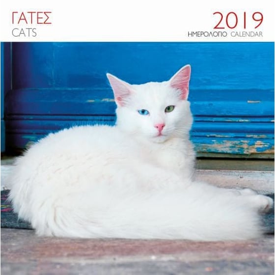 Ημερολόγιο τοίχου 2019- Γάτες image 0