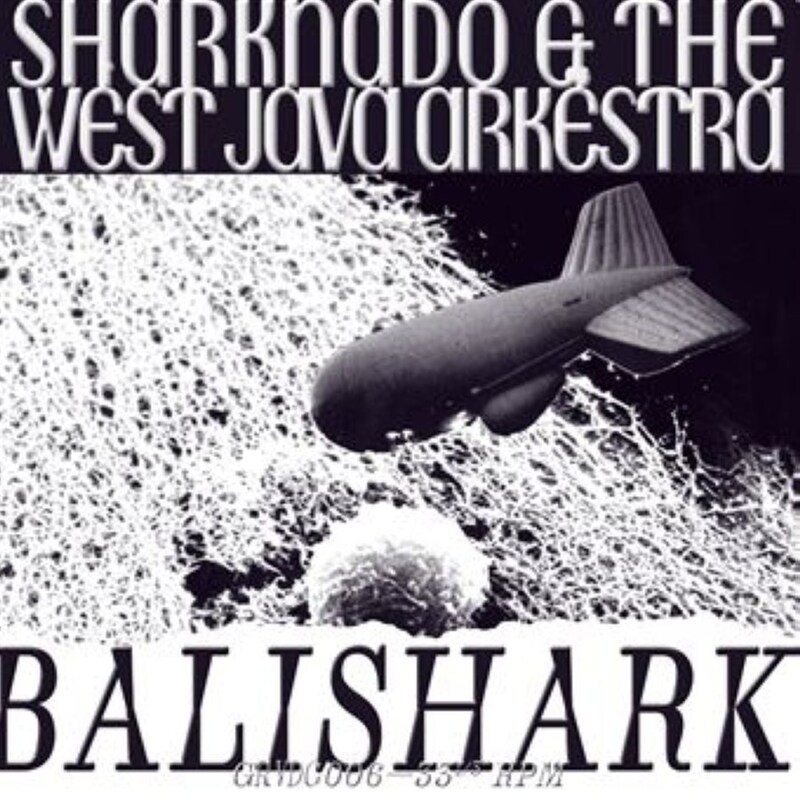Balishark